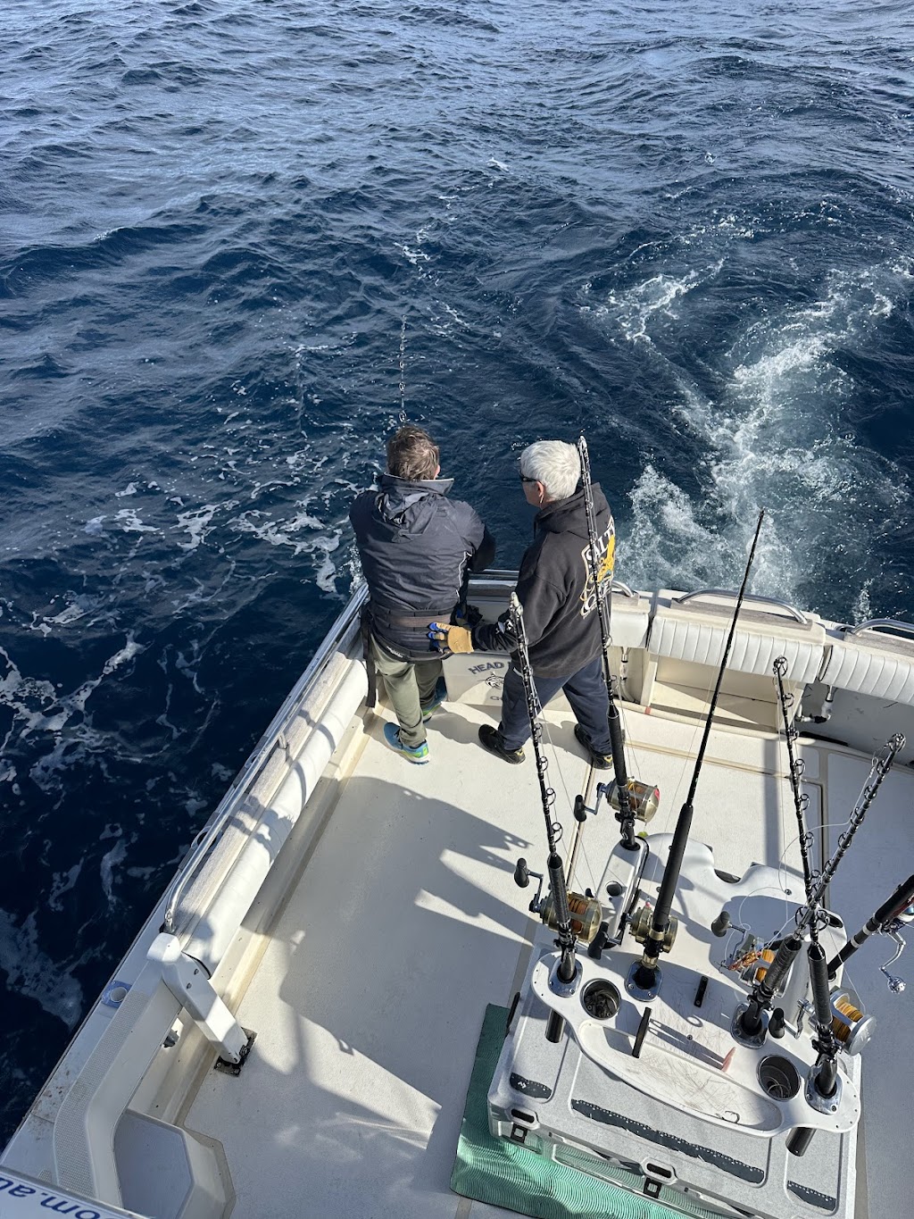 Head Hunter Charters | Bermagui Fishermans Wharf, Lamont St, Bermagui NSW 2546, Australia | Phone: 0428 995 400