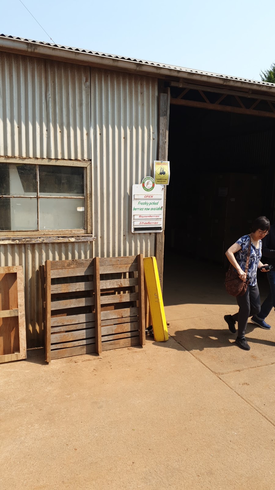 Kookaberry Strawberry Farm | 25 Lewis Rd, Wandin VIC 3139, Australia | Phone: 0415 768 222