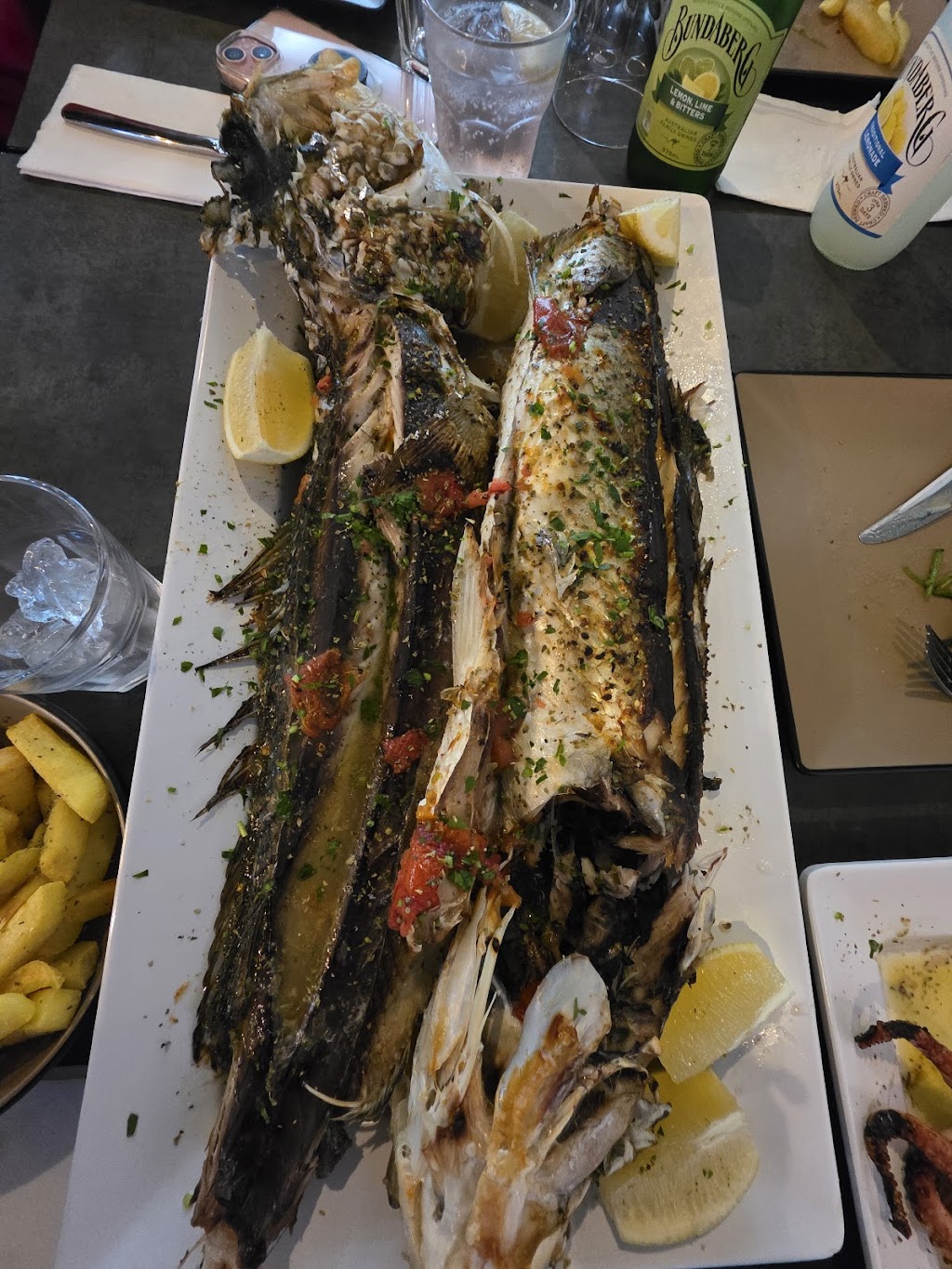 Southern Sydney Fishing Tours | Rocky Point Rd, Sans Souci NSW 2219, Australia | Phone: 0418 169 439