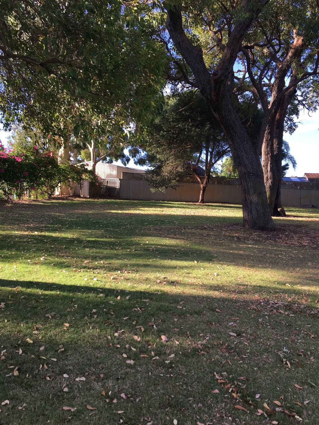 Cedar Court Reserve | park | 21A Teneriffe Pl, Mirrabooka WA 6061, Australia