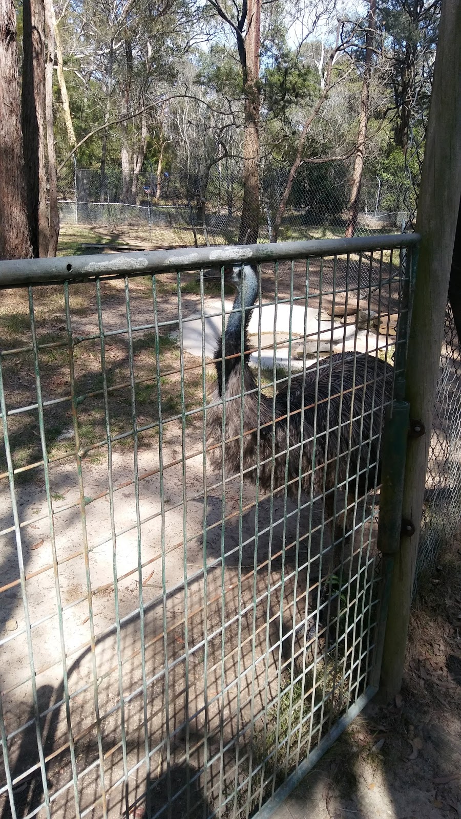 Wirrimbirra Sanctuary | park | 3105 Remembrance Driveway, Bargo NSW 2574, Australia | 0246841112 OR +61 2 4684 1112