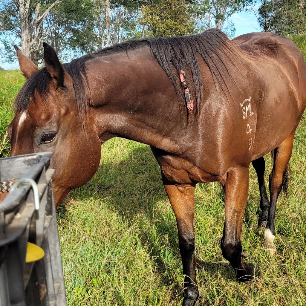 Okey Dokey Farm | Visit by appointment only. Please message to arrange, 144 Flood Reserve Rd, Ruthven NSW 2480, Australia | Phone: 0418 770 508