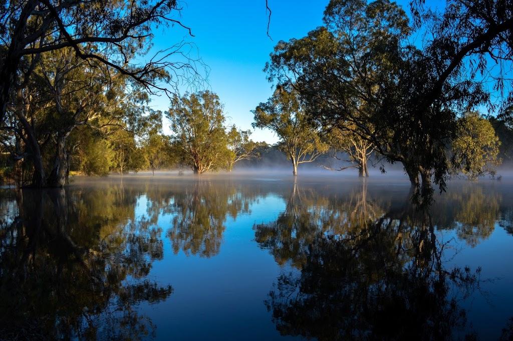 BP | 27 Murray Valley Hwy, Boundary Bend VIC 3599, Australia | Phone: (03) 5026 8201