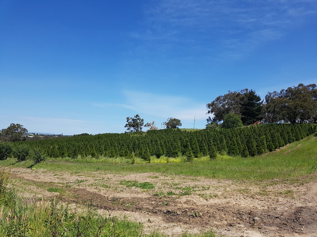 Ports Christmas Tree Farm | 186 Belgrave-Hallam Rd, Belgrave South VIC 3160, Australia | Phone: 0422 263 198