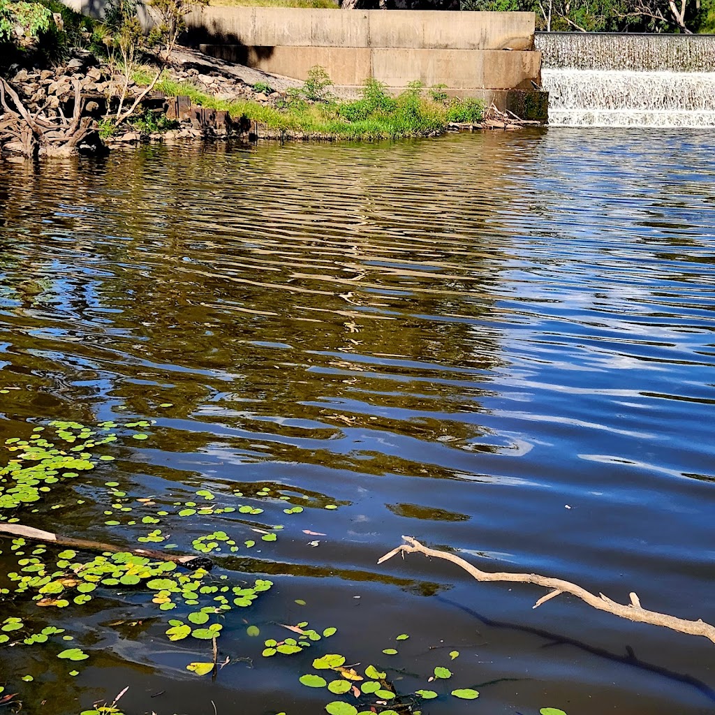 BUDGET ACCOMMODATION | 27 Princess St, Inglewood QLD 4387, Australia | Phone: 0439 011 062