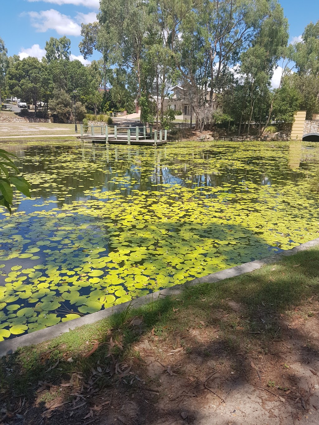 BWS Forest Lake Village | Shop 8 Forest Lake Village Sing Centre 235 Forest Lake Boulevard, cnr Grand Ave, Forest Lake QLD 4078, Australia | Phone: (07) 3879 0522