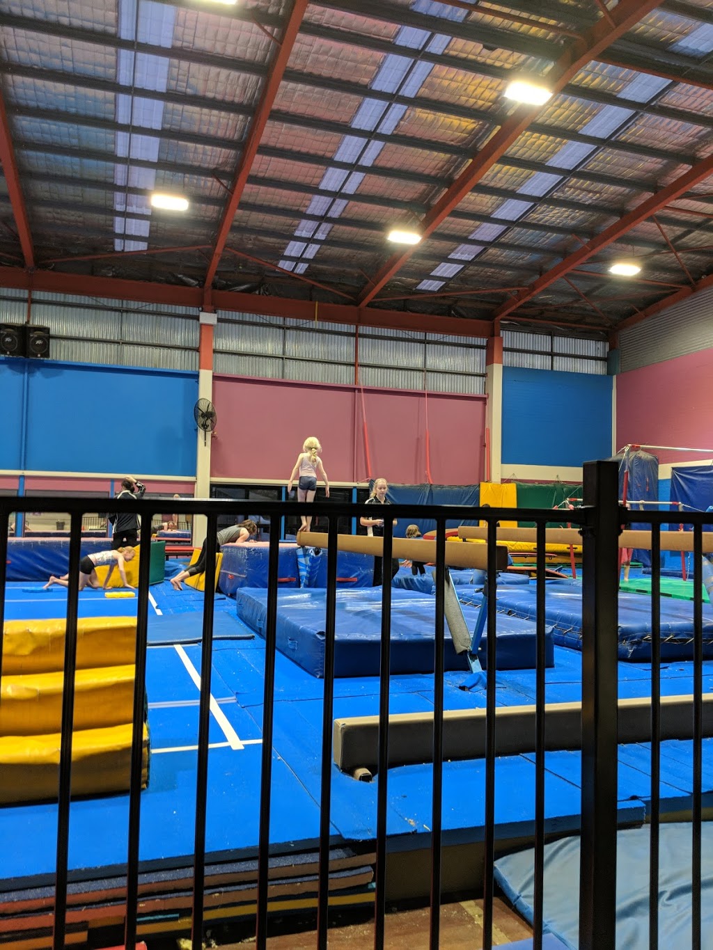 PCYC Gym+Fitness | 219A James St, South Toowoomba QLD 4350, Australia | Phone: (07) 4632 8316