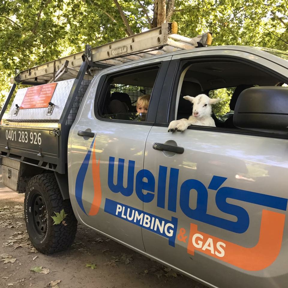 Wellos Plumbing & Gas | 42 Table Top Rd, Thurgoona NSW 2640, Australia | Phone: 0401 283 926