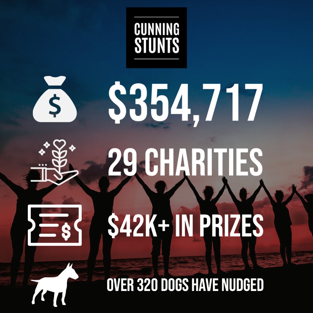 Cunning Stunts | 44 Norths Ln, Nunderi NSW 2484, Australia | Phone: 0405 538 190