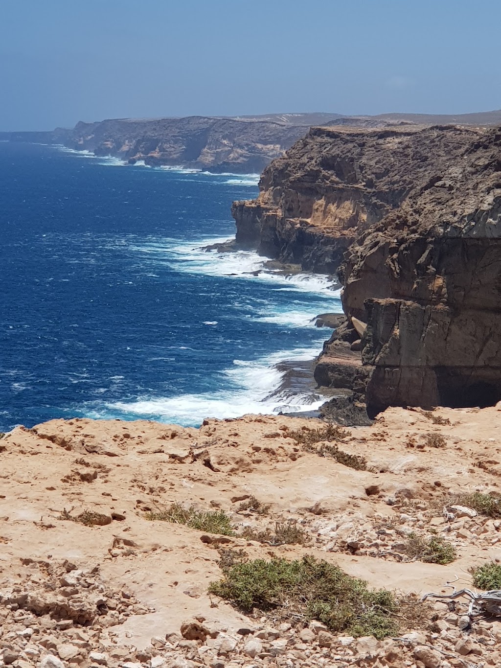 Shark Bay 4WD Tours | 1 Ocean Park Rd, Shark Bay WA 6537, Australia | Phone: (08) 9948 1765