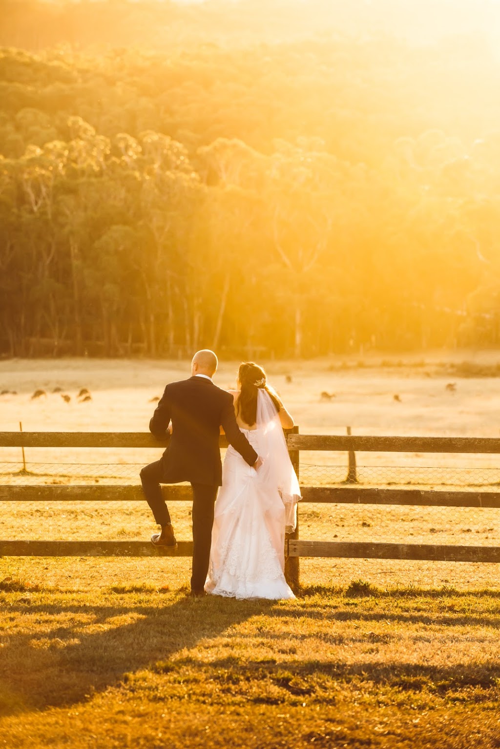 Journey By Light Photography |  | 45 Clowes St, Malmsbury VIC 3446, Australia | 0401673119 OR +61 401 673 119