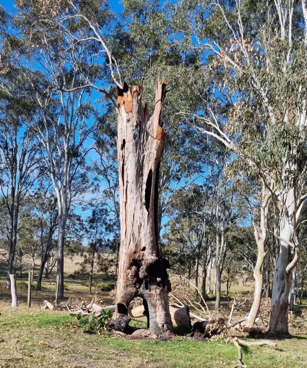 Ken Can Maintenance | 24 Milkhouse Dr, Raymond Terrace NSW 2324, Australia | Phone: 0483 861 088