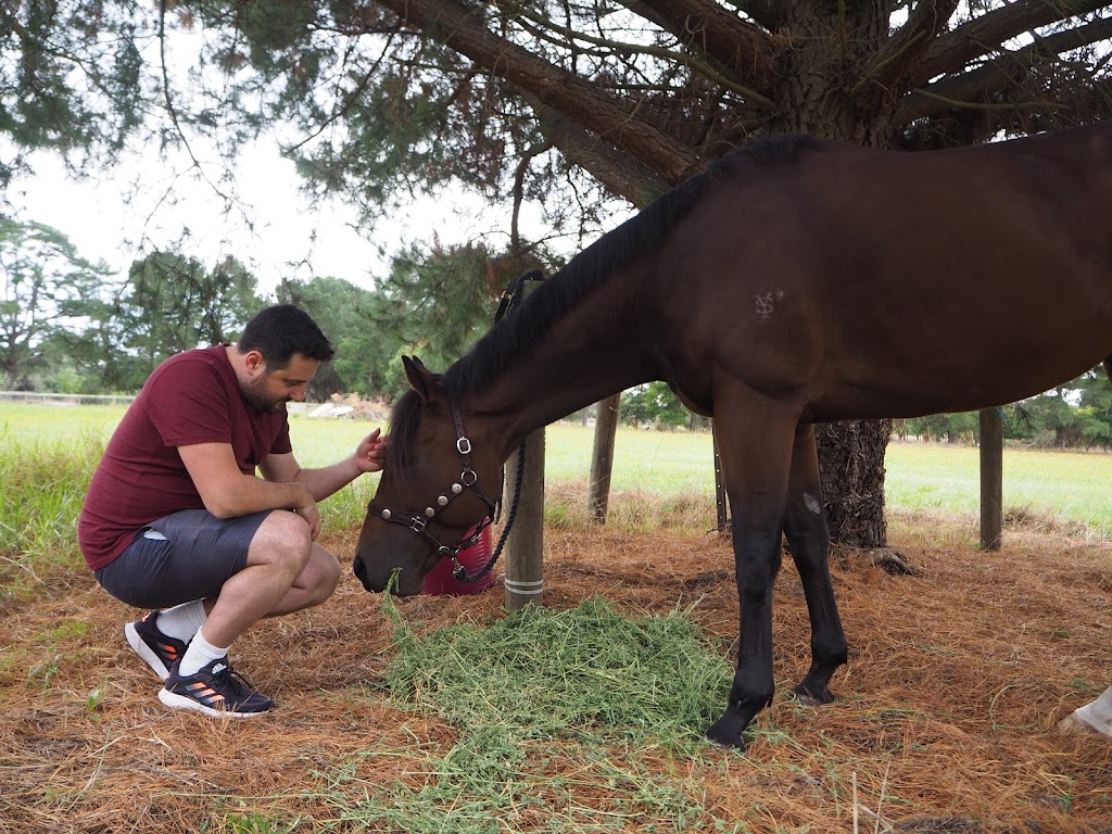 ME Animal Assisted Wellness | 214 Eramosa Rd W, Moorooduc VIC 3933, Australia | Phone: 0416 122 946