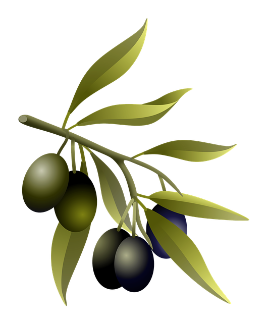 Online Homeopath | 3 Lymington Rd, Cygnet TAS 7112, Australia | Phone: 0433 535 945