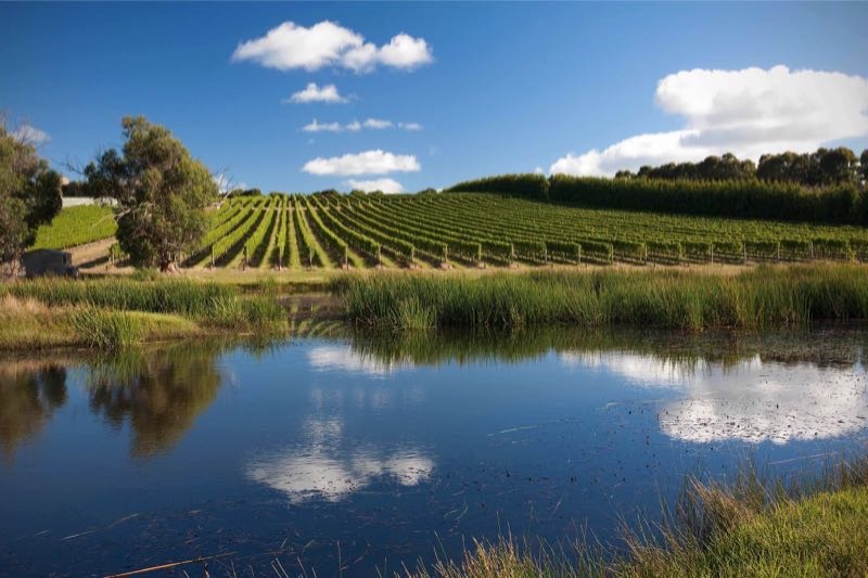 Hentyfarm Wine & Luxury Travel | 250 Wattle Tree Rd, Holgate NSW 2250, Australia | Phone: 0423 029 200
