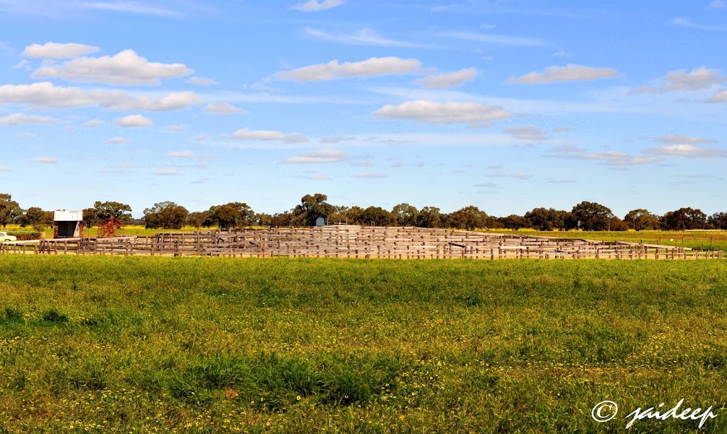 Nine Mile Reserve | Sturt Hwy, Hay South NSW 2711, Australia