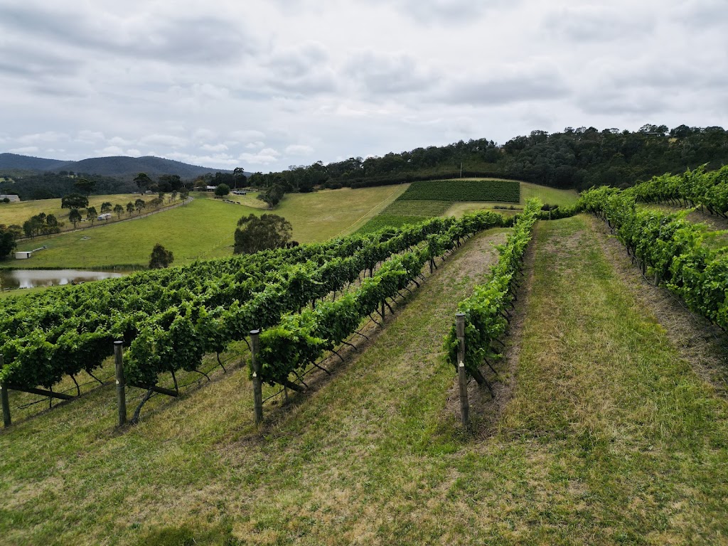 Lance Winery | 2130 Heidelberg-Kinglake Rd, St Andrews VIC 3761, Australia | Phone: 0431 295 413