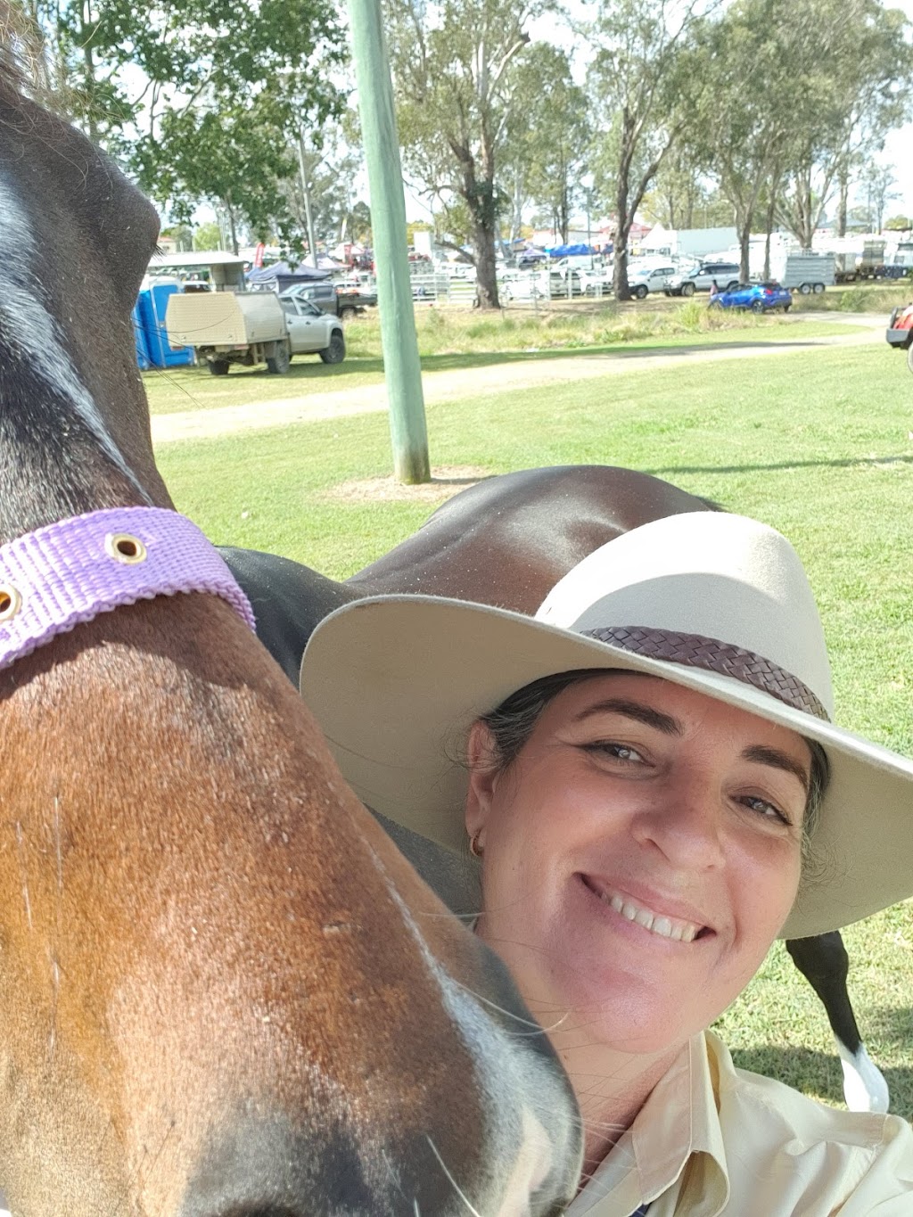 Equine Expression | Main Western Rd, Tamborine Mountain QLD 4272, Australia | Phone: 0400 774 157