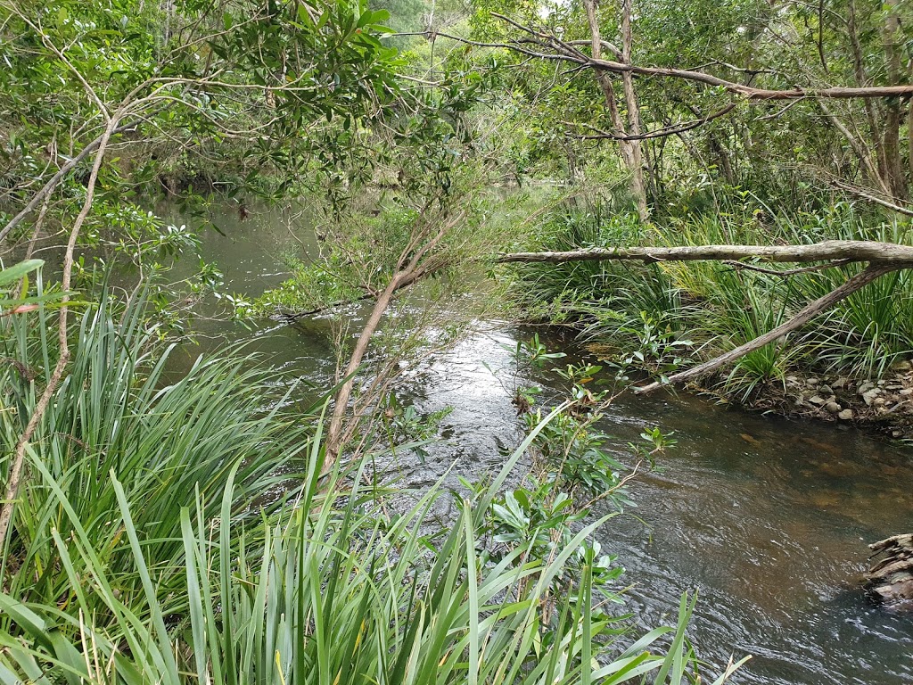 Battery Falls Campground | campground | Battery Rd, Lowanna NSW 2450, Australia