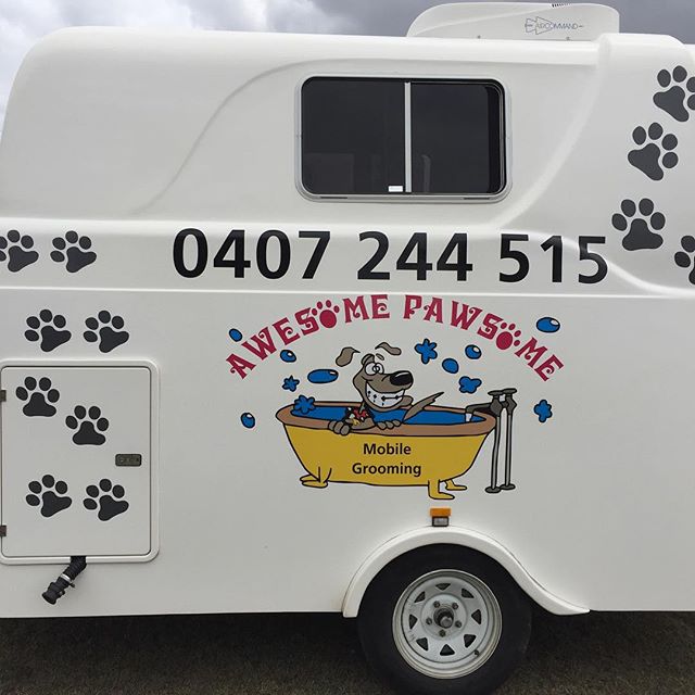 Awesome Pawsome - Mobile Pet Grooming & Wash | 20 Grant St, Hendra QLD 4011, Australia | Phone: 0407 244 515