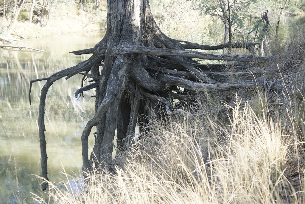 Boulevard Bush Reserve | park | Shepparton VIC 3630, Australia