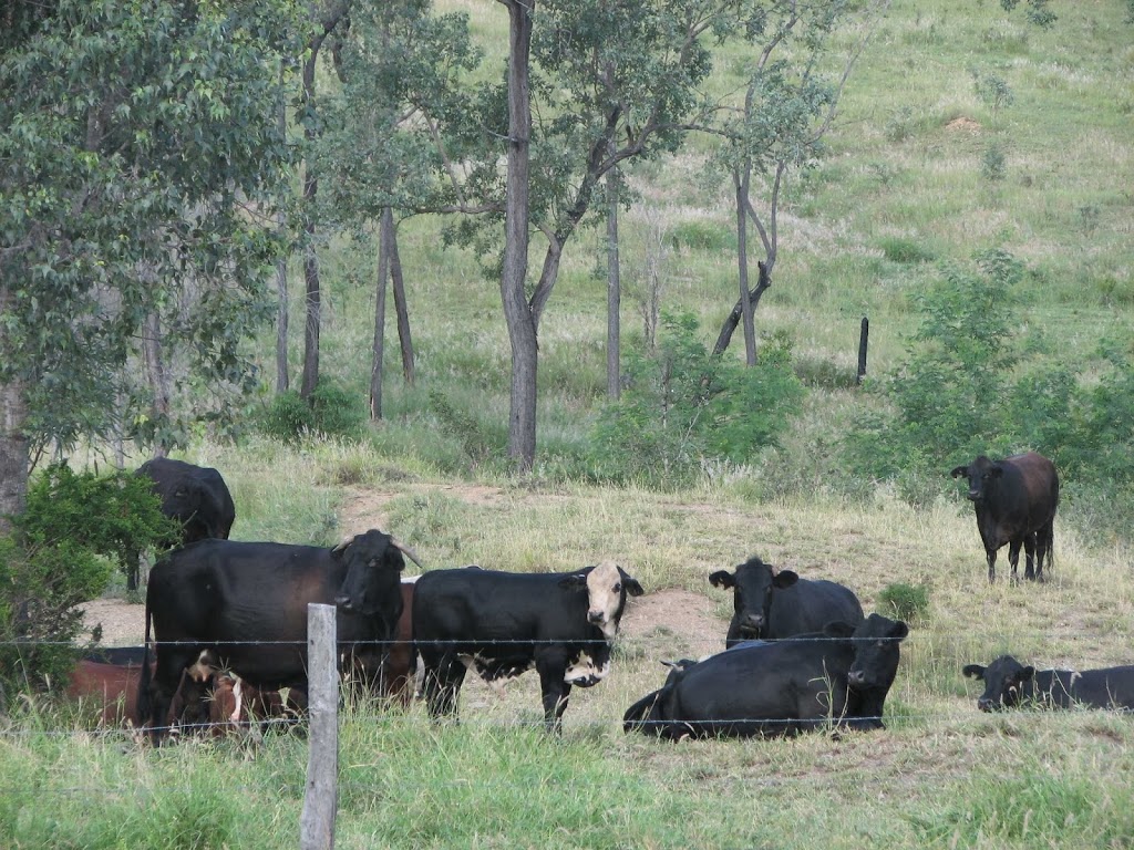 Jerakala Beef | lodging | 20024 Burnett Hwy, Mundubbera QLD 4626, Australia | 0741654909 OR +61 7 4165 4909