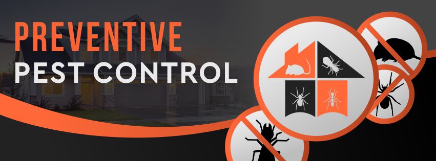 Preventive Pest Control Noosa | 41 Sunshine Beach Rd, Noosa Heads QLD 4567, Australia | Phone: (07) 3186 9707