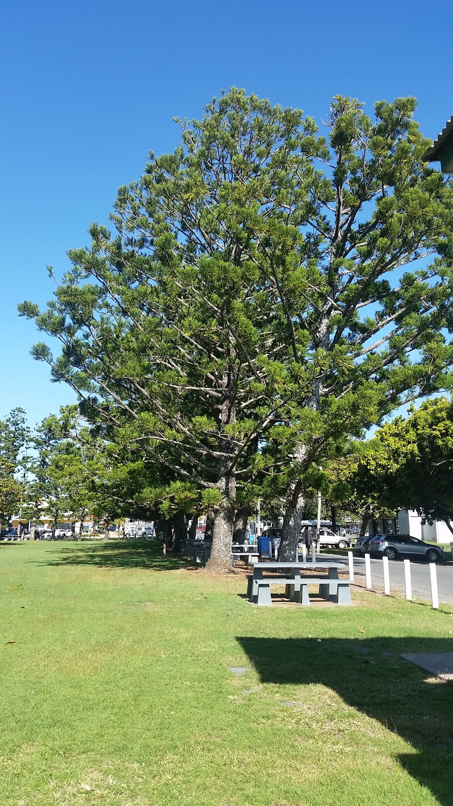 Bell Park | park | Hill St, Emu Park QLD 4710, Australia