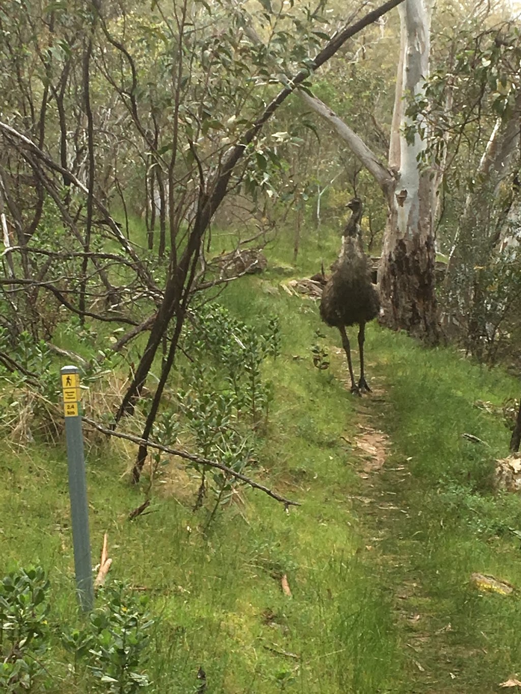 Para Wirra Conservation Park | Yattalunga SA 5114, Australia | Phone: (08) 8280 7048