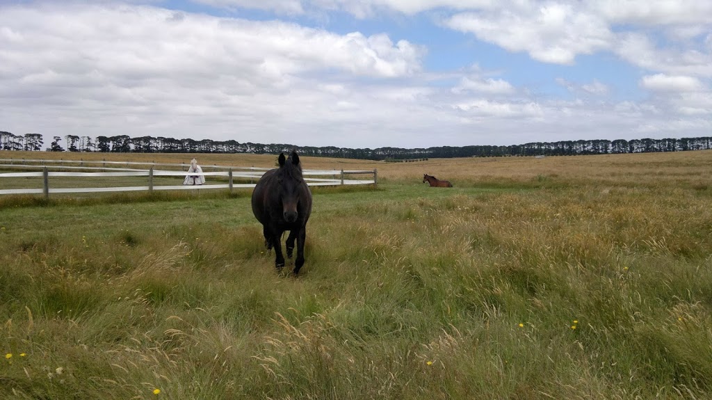 Yarrabee Farm - Horse Agistment |  | 246 Gearys Ln, Ballan VIC 3342, Australia | 0473350000 OR +61 473 350 000