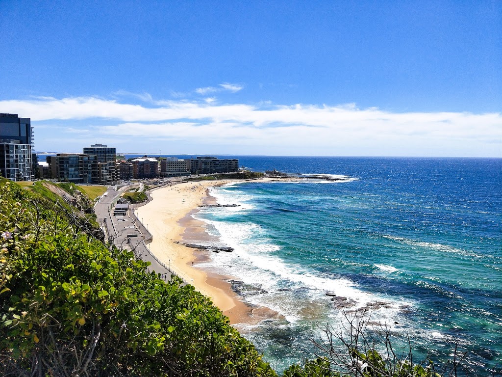 Anne Feneley Lookout | park | Cnr &, Watt St & Reserve Rd, Newcastle NSW 2300, Australia | 0249742807 OR +61 2 4974 2807