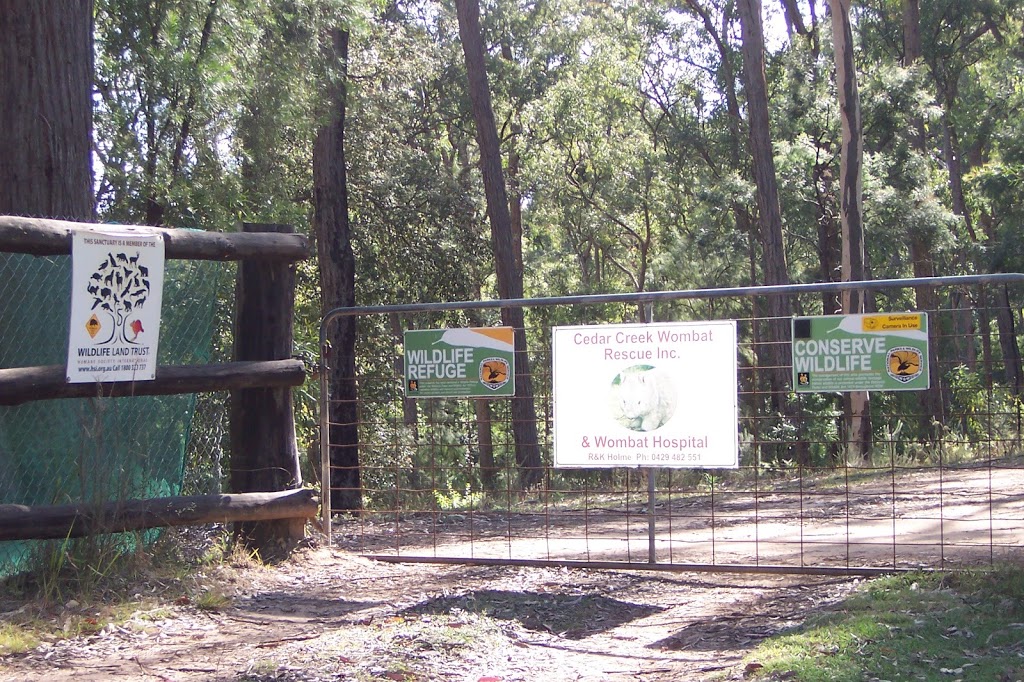 Pokolbin State Forest | park | Cedar Creek NSW 2325, Australia