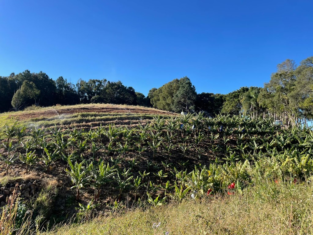 Dunnara Farm | 240 Duranbah Rd, Duranbah NSW 2487, Australia | Phone: 0408 178 729