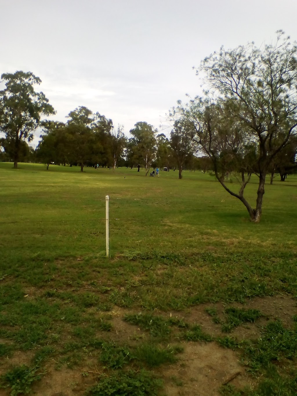 Dalby Golf Club | Moreton St, Dalby QLD 4405, Australia | Phone: (07) 4662 2259