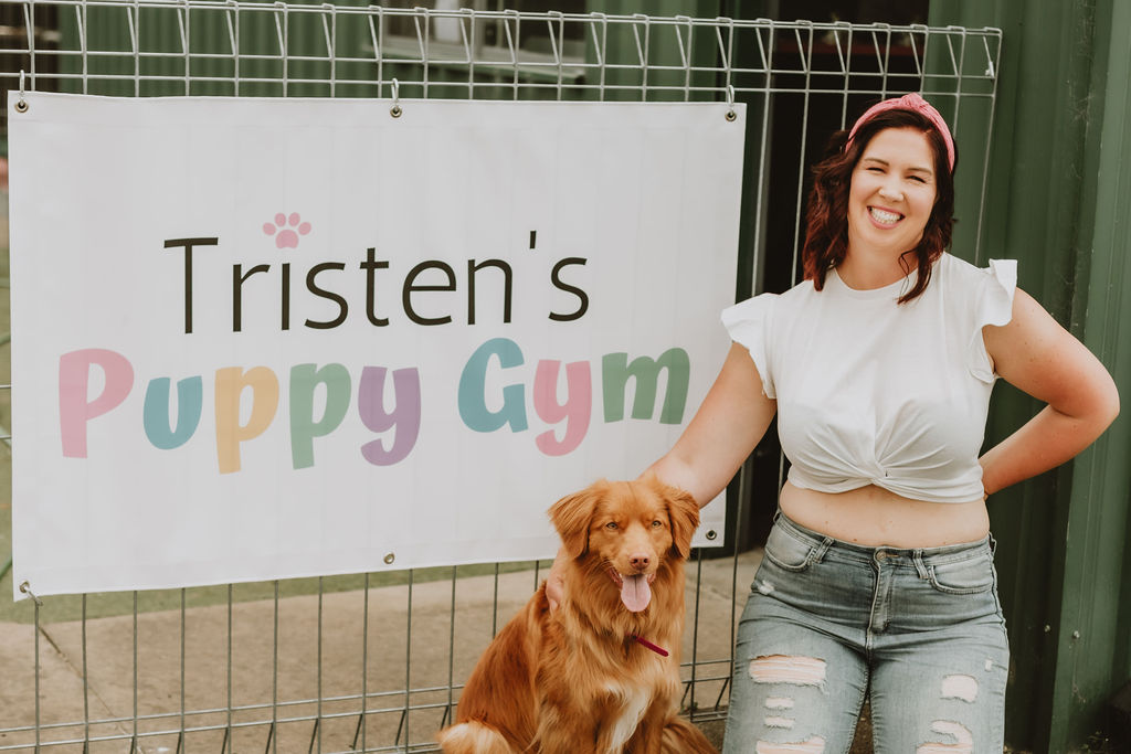 Tristens Puppy Gym | 203-205 Woodward Rd, Golden Gully VIC 3555, Australia | Phone: 0429 326 093