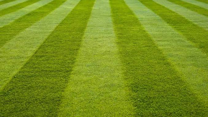 Lawn Envy | 58 Dean Rd, Verrierdale QLD 4562, Australia | Phone: 0422 936 005