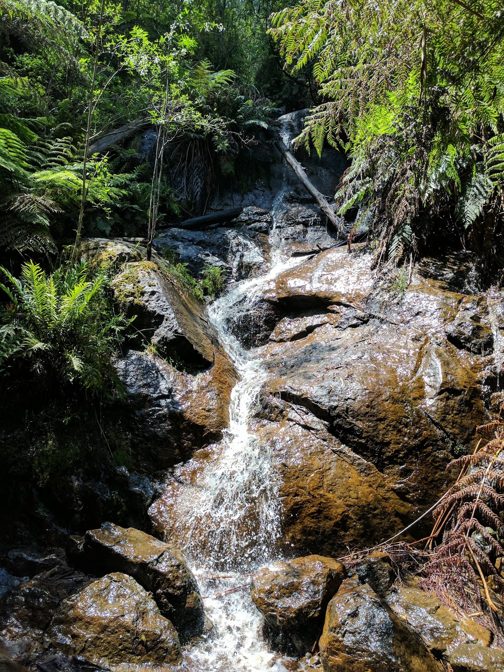 La La Falls Car Park | park | 25 Irruka Rd, Warburton VIC 3799, Australia | 131963 OR +61 131963