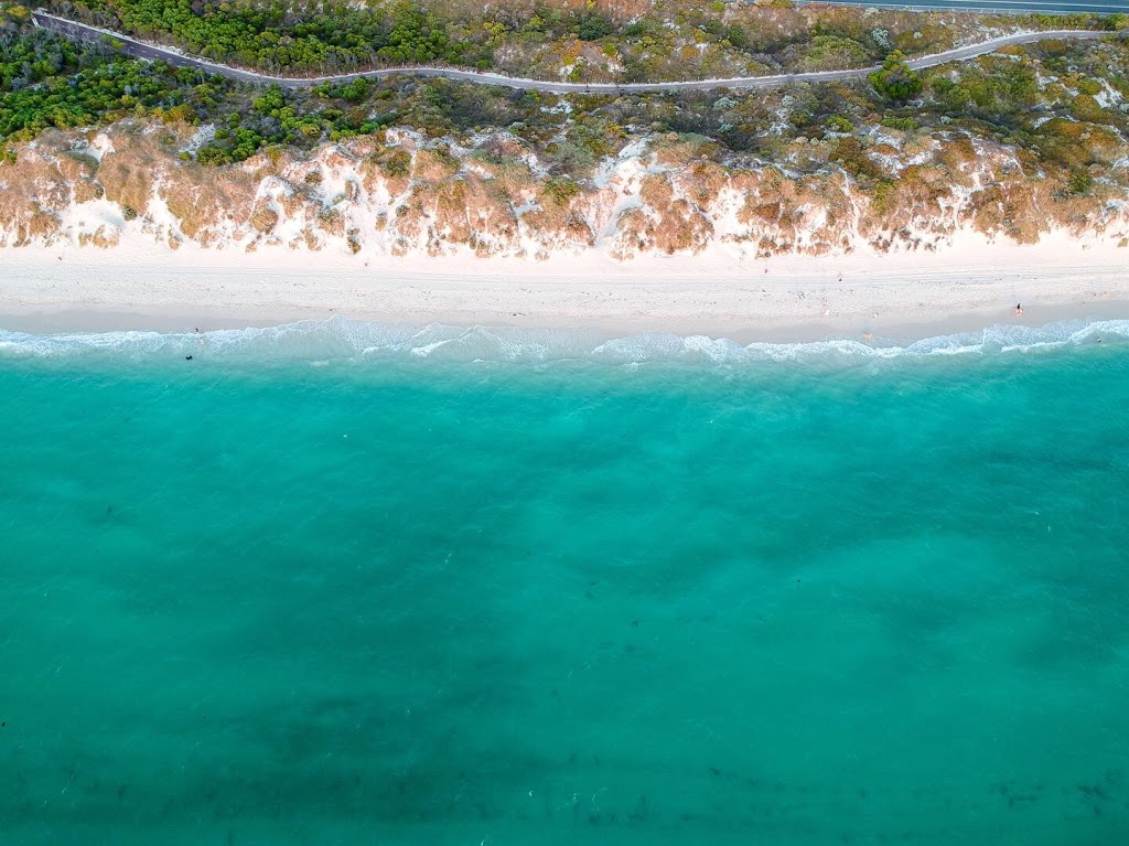 Animal Exercise Beach | Hillarys WA 6025, Australia