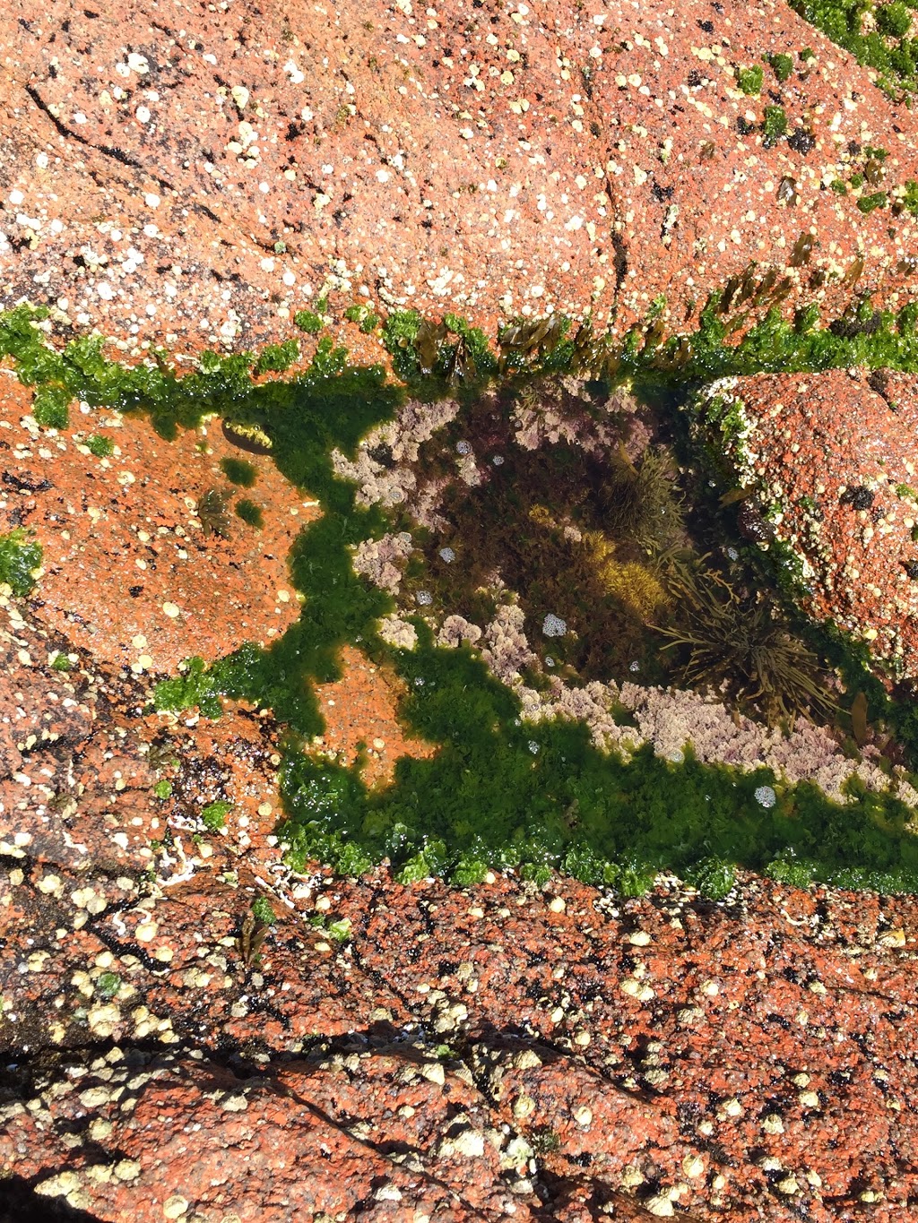 Parking For Beach Lookout | Freycinet TAS 7215, Australia