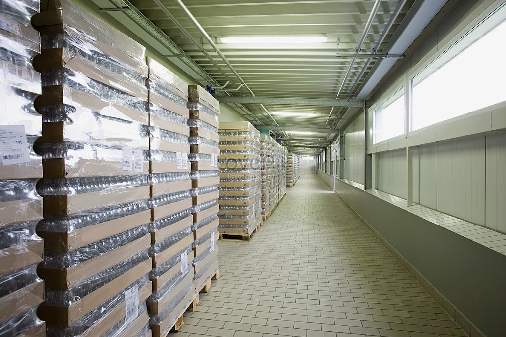 DC Pallets | 1365 Menangle Rd, Razorback NSW 2571, Australia | Phone: 1300 379 564