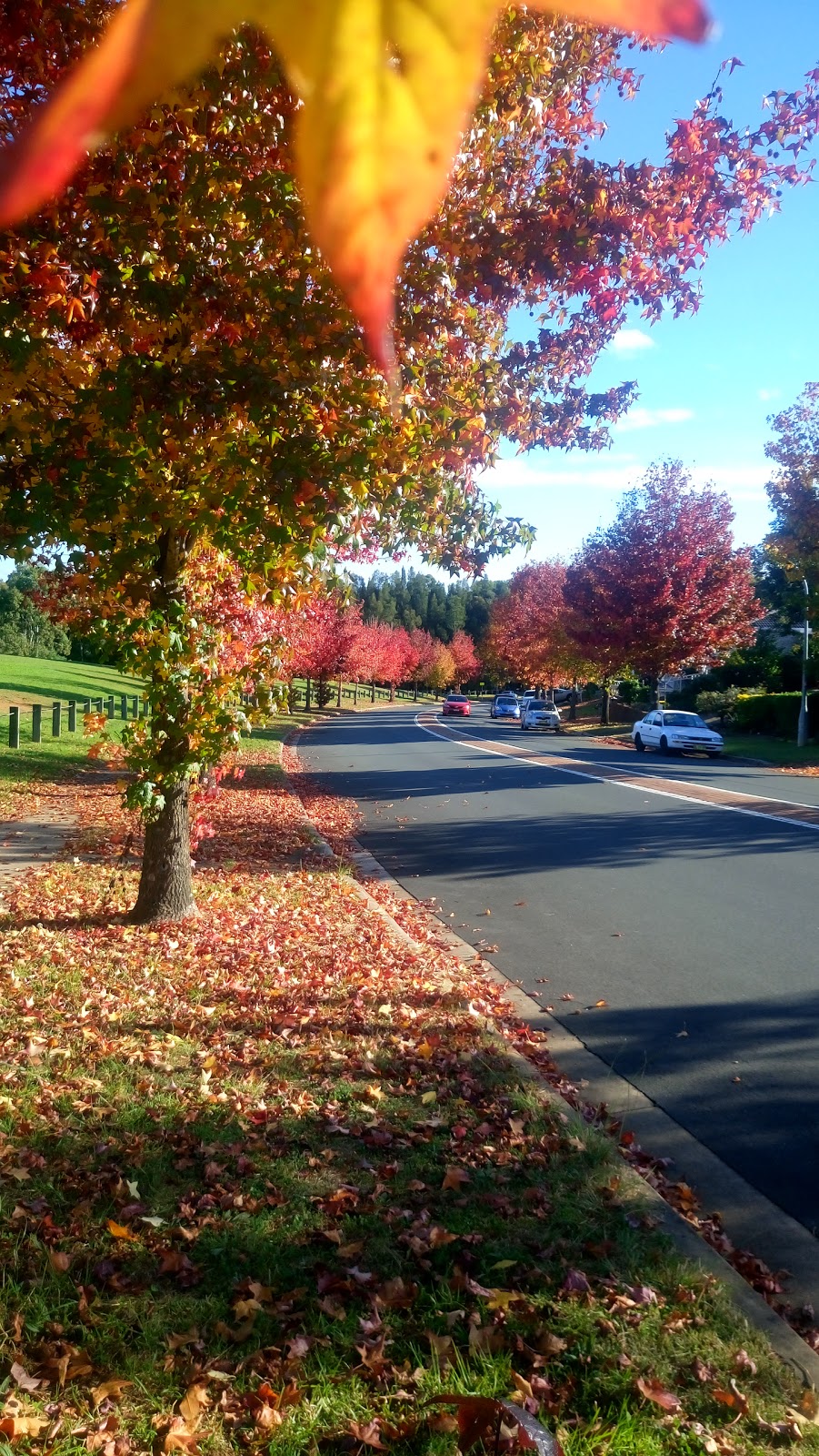 Leacock Regional Park | Leacocks Ln, Casula NSW 2170, Australia | Phone: (02) 4572 3100