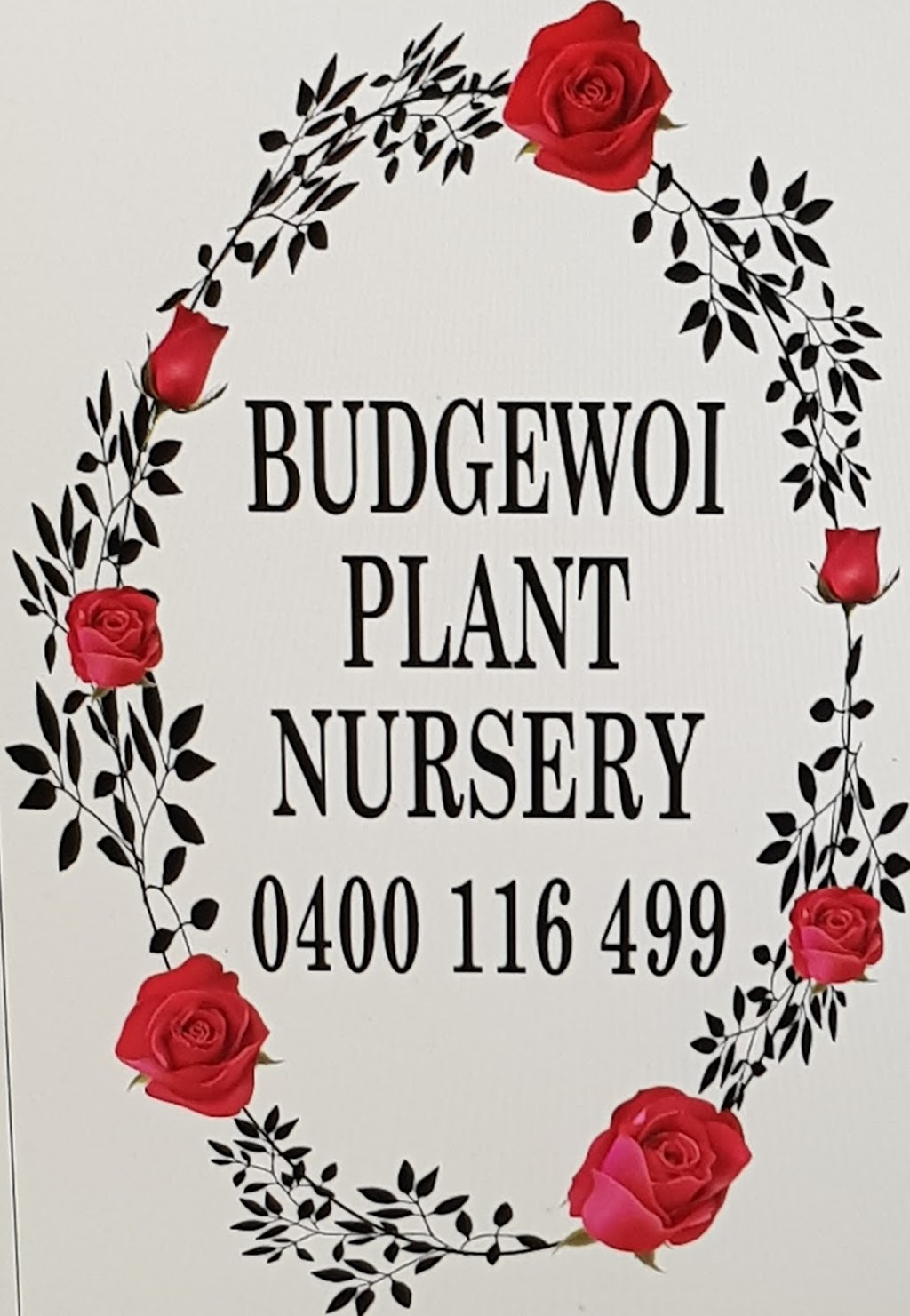Budgewoi Plant Nursery | 101 Woolana Ave, Halekulani NSW 2262, Australia | Phone: 0400 116 499