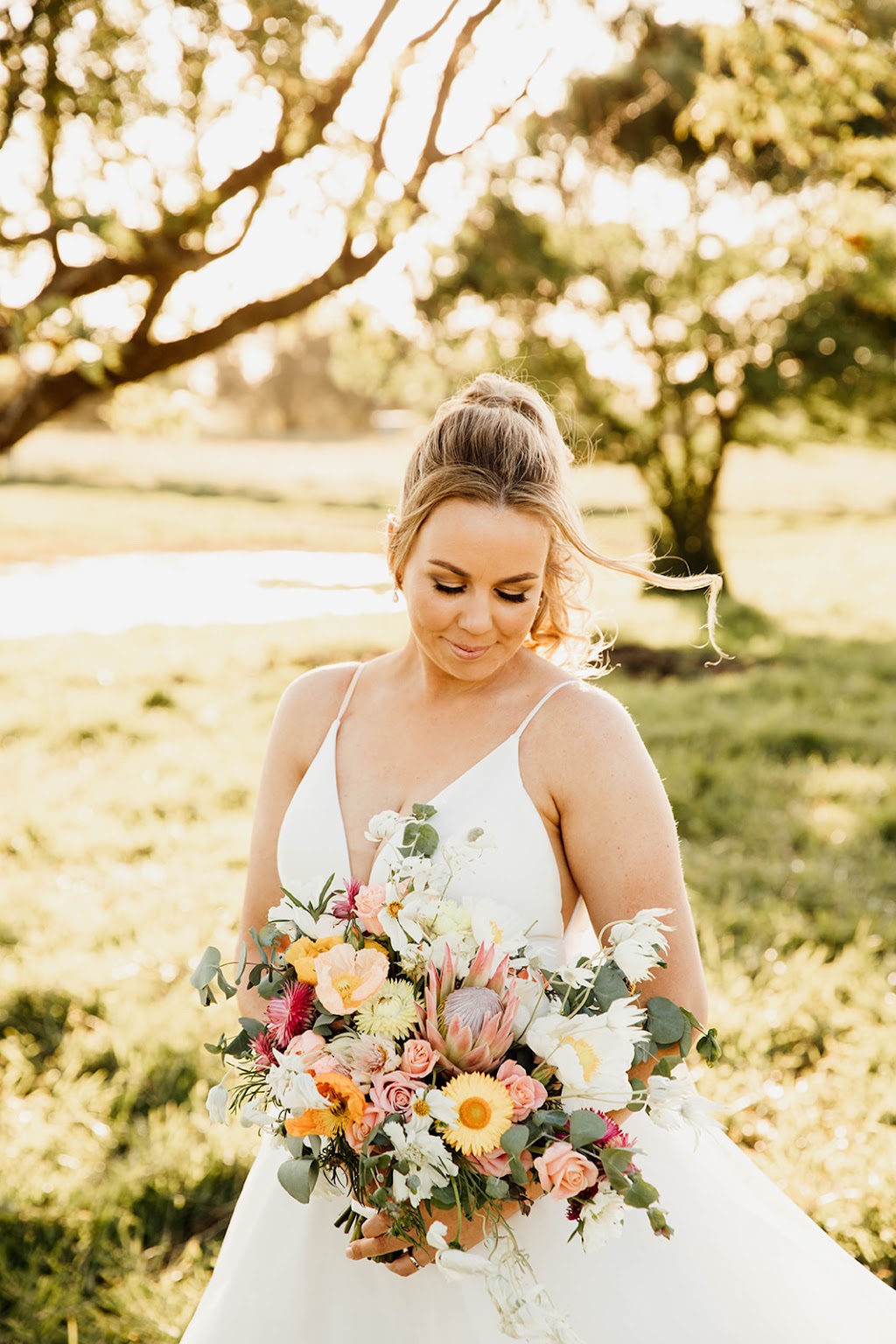 Will & Wild | 15 Maybon Cl, Branxton NSW 2335, Australia | Phone: 0490 118 968