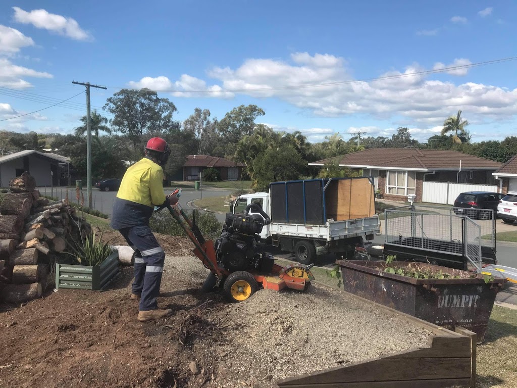 Bayside Treecare |  | 151 Lascelles St, Brighton QLD 4017, Australia | 0437569313 OR +61 437 569 313