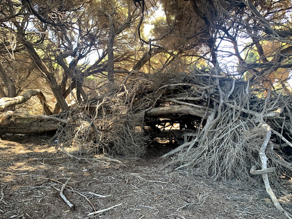 Rottnest Island Settlement Train Station | tourist attraction | Brand Way, Rottnest Island WA 6161, Australia | 0893729730 OR +61 8 9372 9730