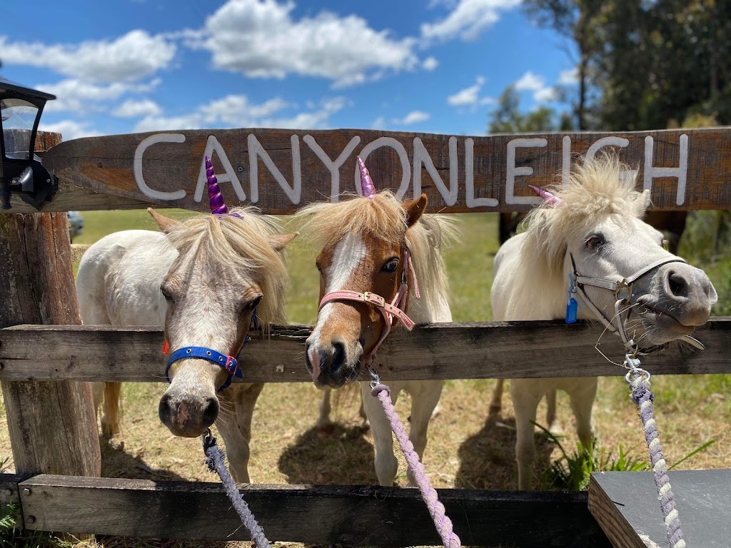 Canyonleigh Trails | 2400 Canyonleigh Rd, Canyonleigh NSW 2577, Australia | Phone: 0490 205 505