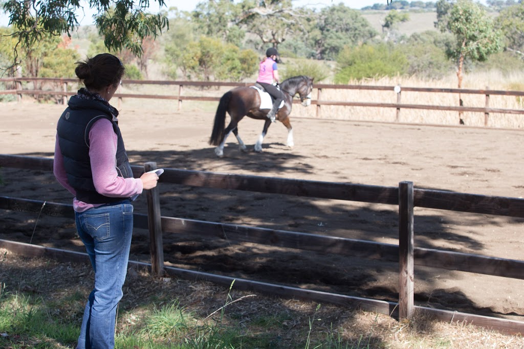 Lucy Williams Equestrian | Equerry Lodge, 804 Wellington Road, Wistow SA 5251, Australia | Phone: 0410 787 196