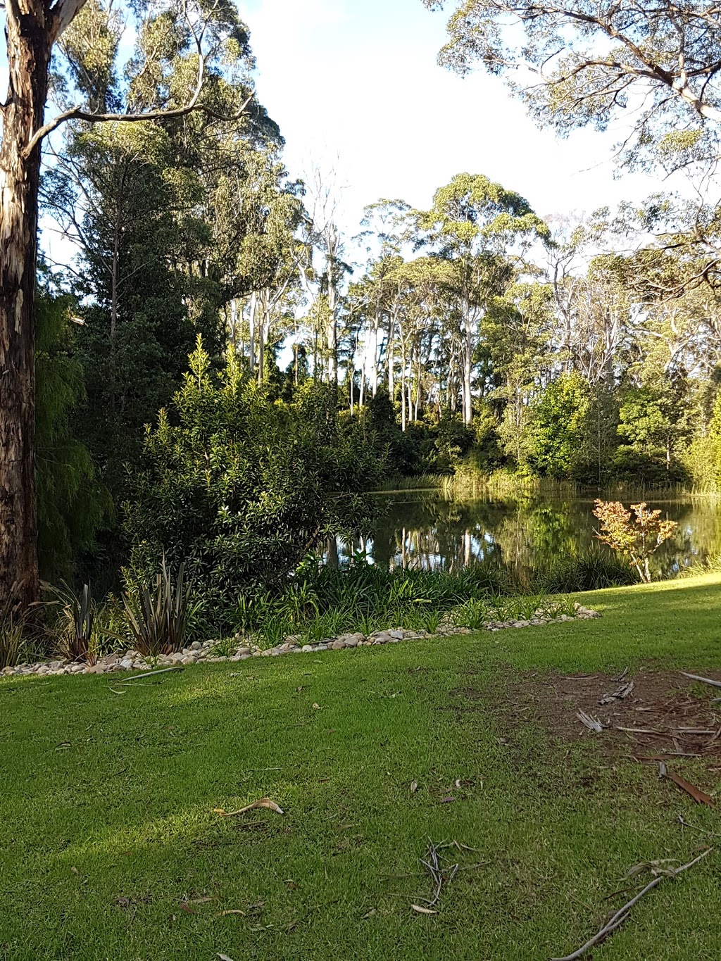 Wildwood Garden | park | 29 Powells Rd, Bilpin NSW 2758, Australia | 0417042460 OR +61 417 042 460