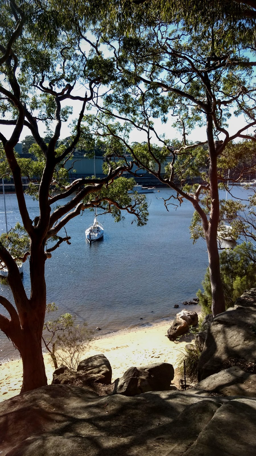 Berry Island Reserve | park | 10 Shirley Rd, Wollstonecraft NSW 2065, Australia | 0299368100 OR +61 2 9936 8100