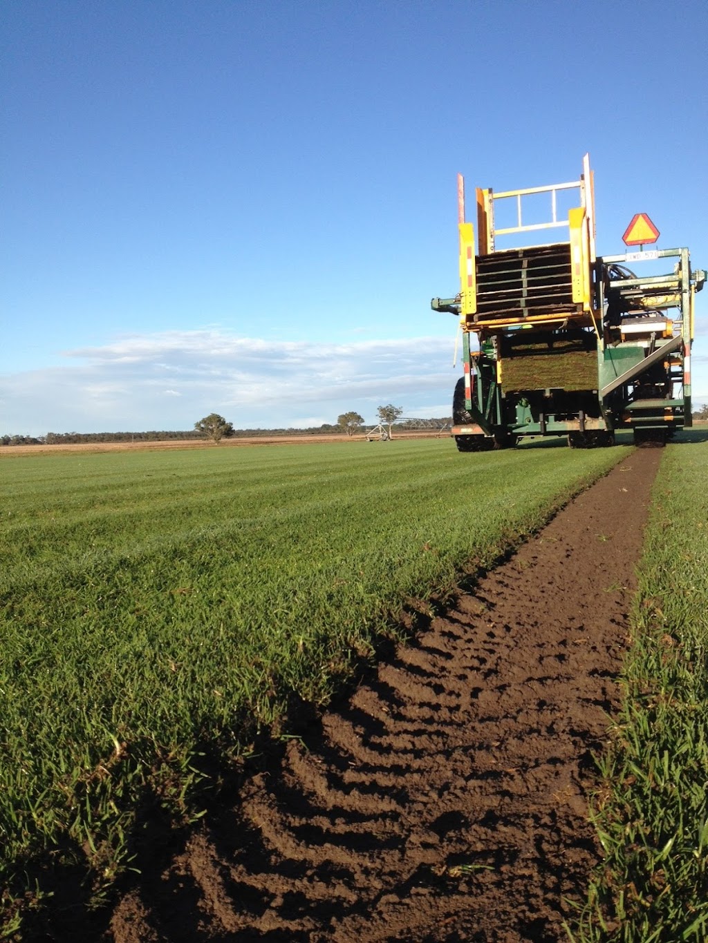 Lilydale Instant Lawn | Pakenham | 790 McDonalds Drain Rd E, Pakenham South VIC 3810, Australia | Phone: (03) 9122 8718